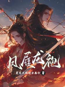 凤袍颜色