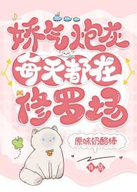 娇气包[穿书